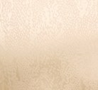 Swatch image